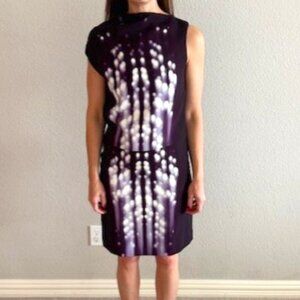 Narciso Rodriquez Silk Sheath Dress, Size 44 (US 8)